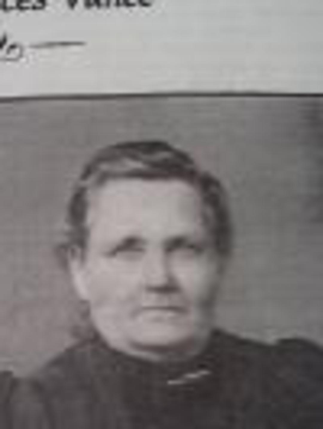 Mary Frances Vance (1844 - 1928) Profile